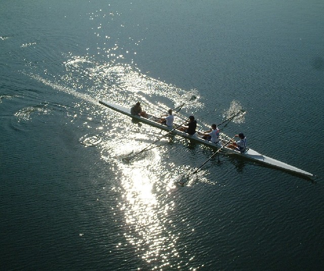 Coxed Four in the Sun on the water